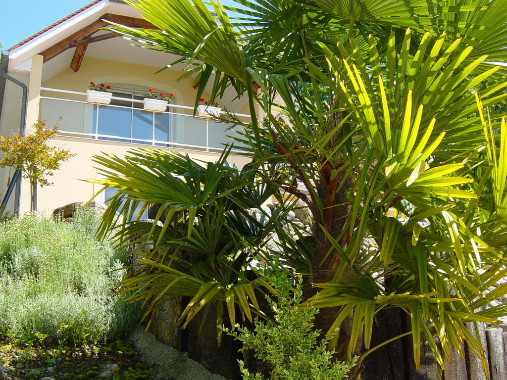 Chambres D'Hotes Coteaux Sud Jurancon Bagian luar foto